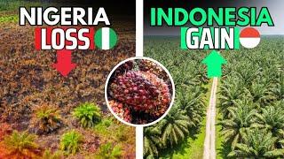 How Nigeria Lost a Billion-Dollar Palm Oil Industry to Indonesia and Malaysia