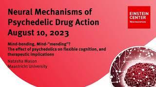 The effect of psychedelics on flexible cognition, and therapeutic implications  | Dr. Natasha Mason