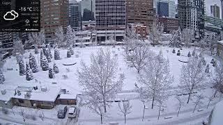 Live Cam, Central Memorial Park, Calgary, Alberta