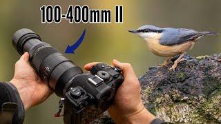 Entspannende POV-Naturfotografie | M.Zuiko 100-400 mm Mark II