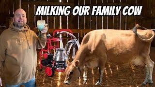 Milking Our Family Cow with the Melasty Milk Machine!