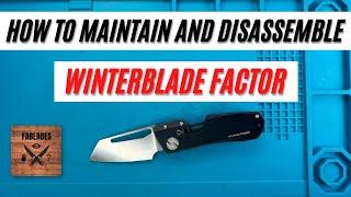 How to Maintain and Disassemble Winterblade Factor Pocketknife. Fablades Full Review