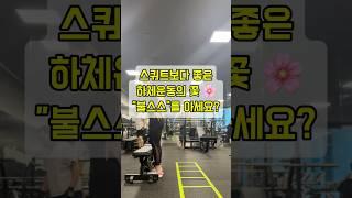 스쿼트보다 좋은 하체운동의 꽃 “불스스“
