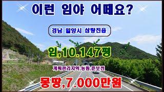 물번,389번) 초급매)밀양시 임야,10.147평 계획관리지역,농림,임업용,준보전산지,공시지가이하로 매매, 매매가,7.000만원 급매매 공사지가,8.500만원 시세 3분의1 수준~