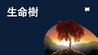 生命樹 - Tree of Life