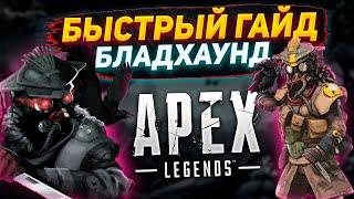 БЫСТРЫЙ ГАЙД НА БЛАДХАУНД В APEX LEGENDS СЕЗОН 20