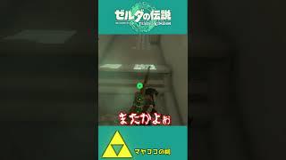 【ティアキン】タイミングと重さが必要なら生み出せばいい！？【祠攻略】＃Shorts