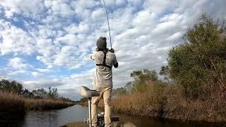 Bass fishing brackish water canals! (Surprise catch!)