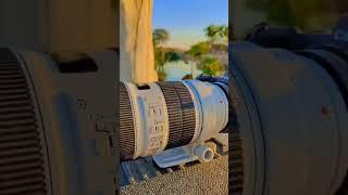 canon dsrl camera 70-200 mm lans #camera #dslr #lover #subscribe #viral #shorts #photography #canon