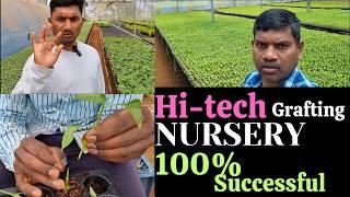 Grafting hi tech nursery, Vegetable hi tech nursery, 100% successful, #hitechnursery #nursery