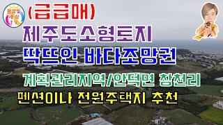 ️ 제주도소형토지 딱뜨인바다조망권 전원적인풍경토지 계획관리지역 300py토지️ 안덕면창천리토지 창천리토지️ 황금빛세상TV 발품부동산제주 쇼킹부동산제주