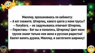 Муж поддатый приходит домой!Подборка весёлых анекдотов!Еще тот Анекдот!