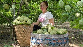 Harvest a bountiful garden to go to the market to sell & take care of pets