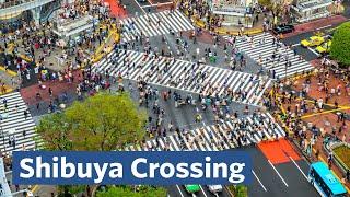 I Visited the Busiest Crossing in the World