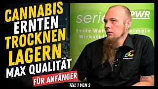 Cannabis Anbau Anfänger Leitfaden Ernten, Trocknen, Lagern für beste Qualität und ohne Schimmel XXL