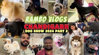 Chandigarh dog show 2024 Part:- 2 #dogshowchandigarh