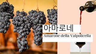 [10min Wine Academy] Ep.5 아마로네와인, 발폴리첼라 와인 | 이탈리아 와인 & 치즈 로드: Part 2, 아마로네 Amarone