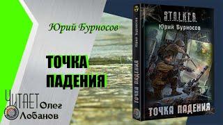 Юрий Бурносов. Точка падения. Серия S.T.A.L.K.E.R.