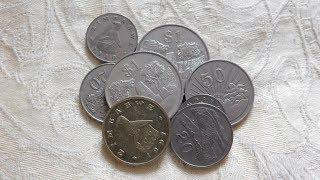 Zimbabwe Coin Collection!