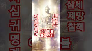지심귀명례 아침예불.우리 가족 형제.자매.아들 딸 액운퇴치 .재물운상승.부처님 가피 기원