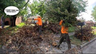 INSANE yard cleanup after HURRICANE DESTRUCTION- owner couldn’t believe it!