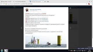 Победитель Лилия Кривошея