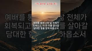 주일 아침 주님의 임재를 깊이 경험하는 얘배가 되게하옵소서#주일예배#주일아침기도#하나님의임재#예배회복#말씀묵상