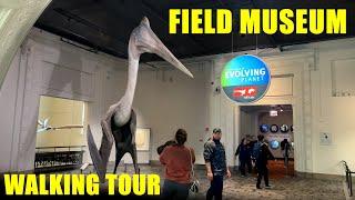 Field Museum - Chicago Natural History Museum - Full Walkthrough - Walking Tour - Relaxing - 4K