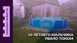 Гомельчанин ест щенков? / 10-летнего мальчика убило током / Почем ягоды на гомельском рынке