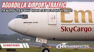 Aguadilla  Puerto Rico Airport | Sky High’s New BQN Route and More!