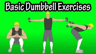 Basic Beginner Introductory Easy Dumbbell Workout Exercises For Beginners At Home At The Gym