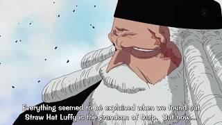 The Gorosei talks about Ruffy and Blackbeard (Best of One Piece)