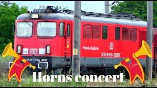 Concert de Goarne & Mecanici de treaba / Horns Concert & Super Train Drivers