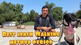 Fastest loose leash walking method// Guaranteed