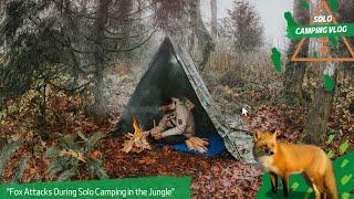 "Fox Attacks During Solo Camping in the Jungle" । Camping In Forest । Night Stay In Jungle