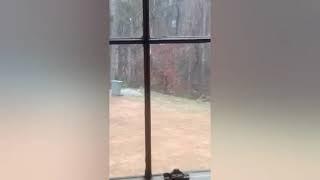 my video compilation