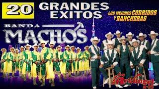 Banda Machos y Banda Arkangel R-15 - Corridos y Rancheras Mix