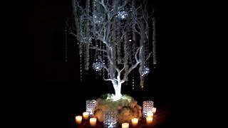 Manzanita Centerpieces by Sweet 16 Candelabras®