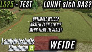 LS25 Test - Weidezaun - Lohnt es sich eine große Weide zu bauen? Extra Tiere pro qm Weide?