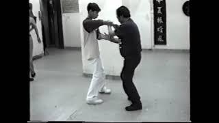 Wong Shun Leung basics