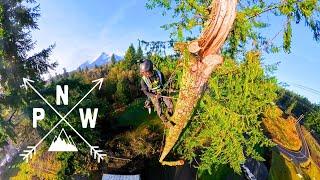 Storm Damaged Tree Removals In The Pacific Northwest