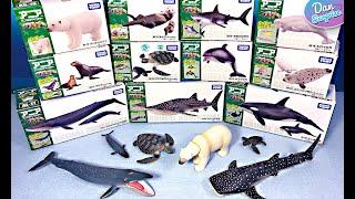 Takara Tomy Sea Animals - Shark, Orca, Polar Bear, Whale, Whaleshark, Turtle, Manta Ray, Dolphin