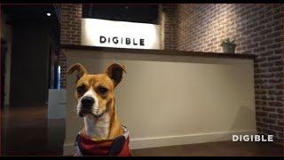 Who is Digible?