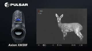 Pulsar Axion XM30F showing a young roe deer. Short unit footage from this great thermal spotter