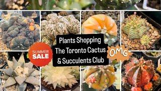 Epic Plant Shopping at the Toronto Cactus & Succulent Club Summer Sale(Rare & Budget-Friendly Prices