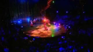 Varekai - Cirque du soleil