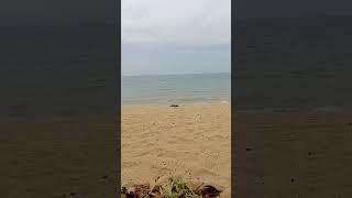 BEACH #SHORT #short #shorts #nature #beach #relaxation