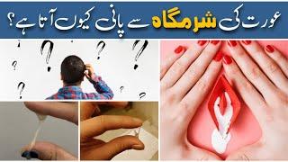 Aurat ki sharmgah se pani q ata hai | urdu health tips