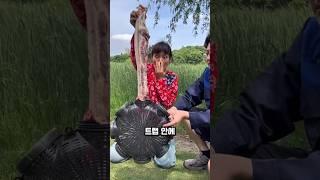 "플라스틱 통 하나로 장어 수십 마리? 전통 어획법의 놀라운 비밀!"
