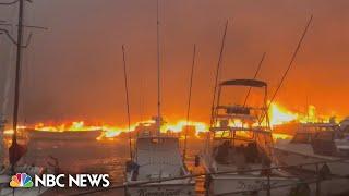 'Like a flamethrower': Harbor captain describes Lahaina wildfire